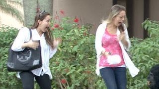 Ukryta kamera: Goryl