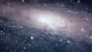 Teoria ewolucji w 90sek