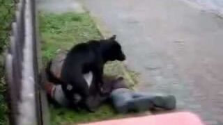 10 największych debili świata