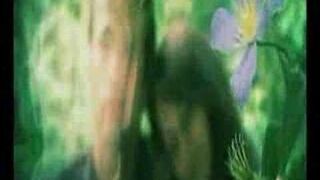 Sumptuastic - Bo Mam Ciebie