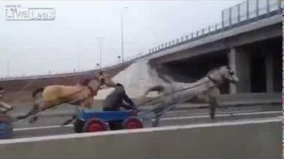 Wyścigi konne na autostradzie