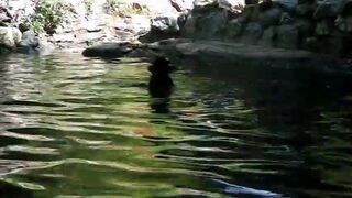 Świnka ratuje kozę!