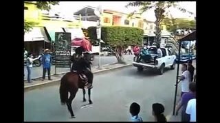 Horse Does Backflip!!!
