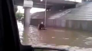 A Little Help From Dog Power