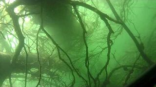 Podwodne polowanie - szczupak 3 kg