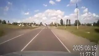 Rosja, krowa na drodze