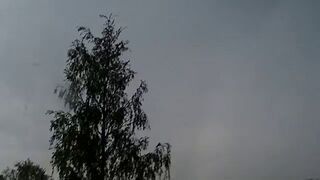 Piorun uderza w drzewo - Молния ударила в дерево