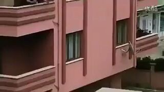 Jakie go głupie! Przeprowadzka i katapulta