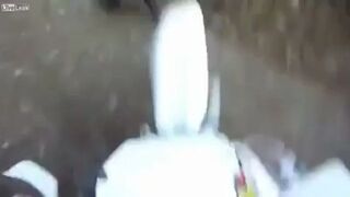 Baran trolluje na drodze