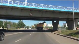 Jeleń przewozi jelenia