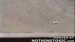 Rosjanie kontra agresywny pies