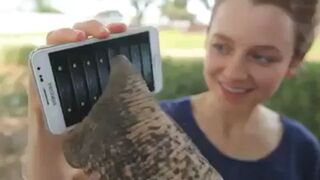 Słoń bawi się smartfonem
