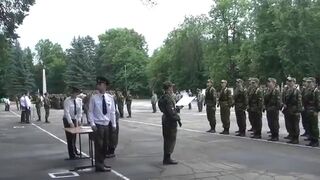 Spadające drzewo na przysiędze