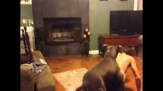 Kompilacja wypadków z października