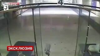 Dziecko na strzelnicy zastrzeliło przyjaciela mamy