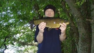 Podwodne polowanie kuszą - lin 2.5 kg