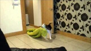 Przydatna sztuczka na zimowe wieczory.Mój pies jest zwycięzcą