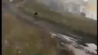 Nie można przestać się śmiać haha