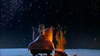 Animals Save the Planet - Polar beer insulation