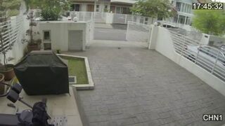 Dziewczyna walczy ze złodziejem o torebkę