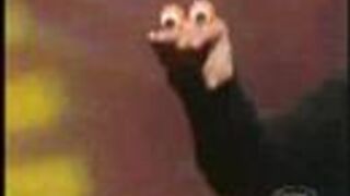 White guy doing Bollywood