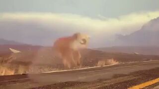 Trudne przejście przez jezdnie