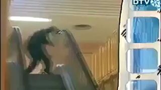 Ruchome schody i miska z wodą