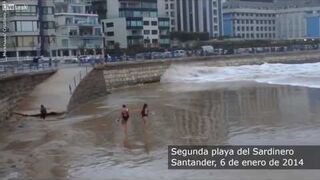 Nie oszukasz Marki natury