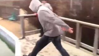 Skok do basenu zimą - fail