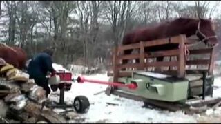 Ile koni mechanicznych ma koń?