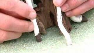 Plastikowe bonsai - Jak to jest zrobione?