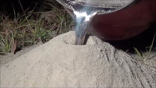 Mrowisko i ciekłe aluminium