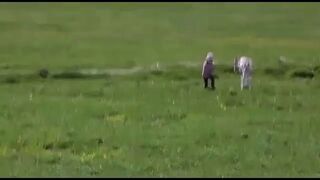 To słodkie! Mała dziewczynka i jej konik!