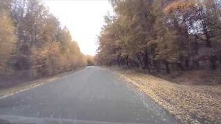 Kangur w rosyjskim lecie