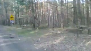 Kawałek asfaltu w lesie, próg zwalniający i ograniczeniem do 20km