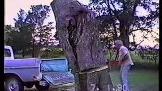 Ścinanie drzewa prosto na pikapa, nie przewidział jednego