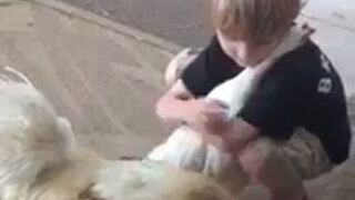 Dzieciak przytula kurę