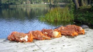 Taki syf zostawiamy na dnie