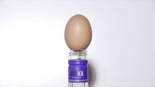 Jajko i butelka po wódce