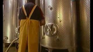 Wino - Jak to jest zrobione?