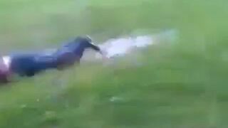 Pływanie w kałuży na treningu