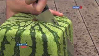 Kwadratowe arbuzy z Japonii