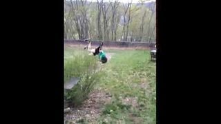 Śmieszna zabawa tarzana