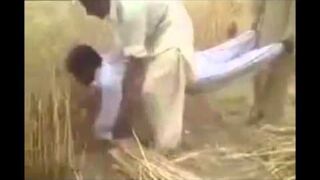 Taki tam, kombajn do zboża