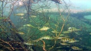 Są takie miejsca w Polsce ...