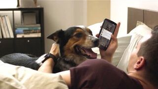 Android coming to a screen near you