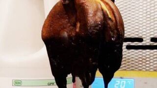 Co się dzieje, kiedy zanurzymy Cheeseburgera w kwasie żołądkowym