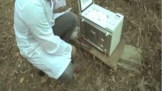 Wybuch 173 jajek w mikrofalówce!