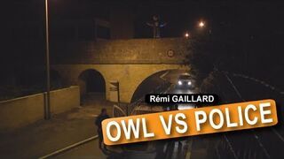 Nasrali na radiowóz z wiaduktu
