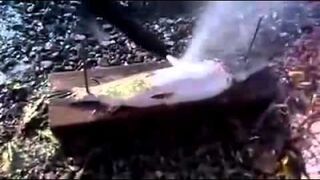 Jak skrobać ryby. Rosja!